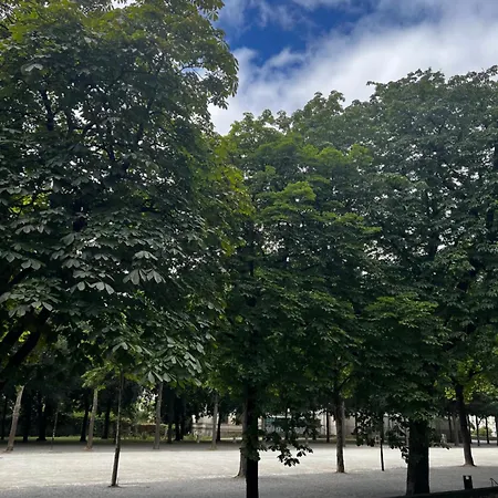 Le St Pierre Face Au Chateau In 아파트 *