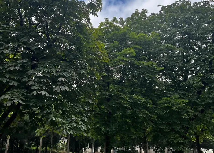 Le St Pierre Face Au Chateau In Appartamento *